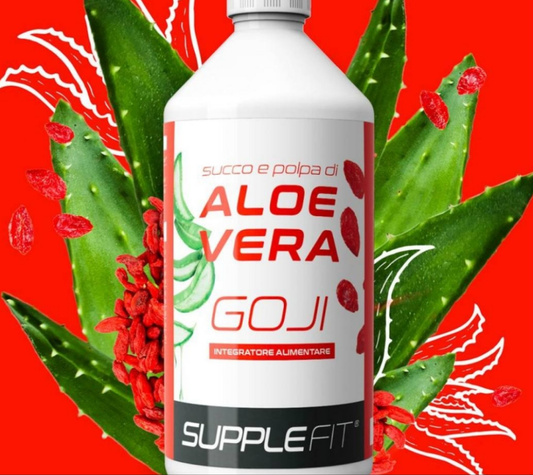 Saft und Fruchtfleisch der Aloe Vera mit Goji #INTB009