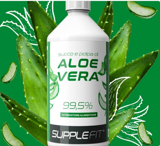 Saft und Fruchtfleisch der ALOE VERA 99,5%  #INTB008