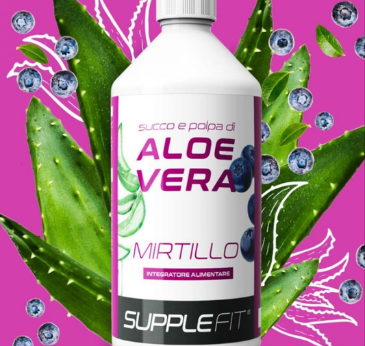 Saft und Fruchtfleisch der ALOE VERA mit Heidelbeerensaft  #INTB010