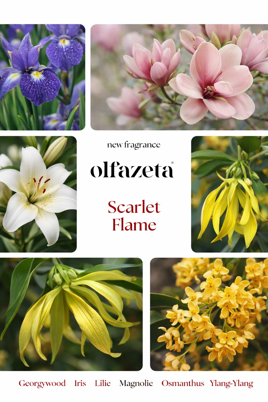 #146U Scarlet Flame -Luxusparfüm