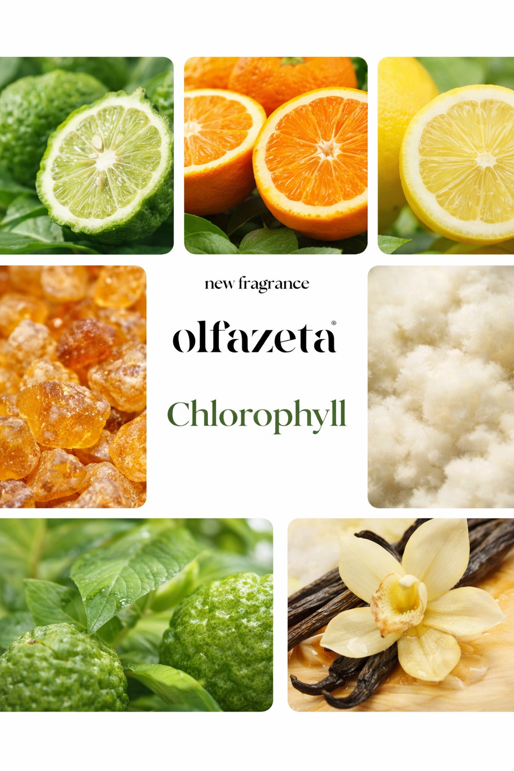 #129 Chlorophyll -Luxusparfüm