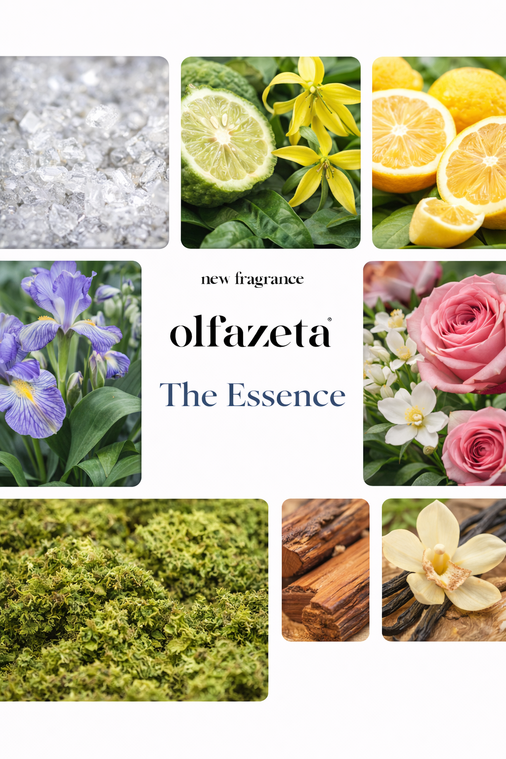 024 The Essence -Damenparfüm