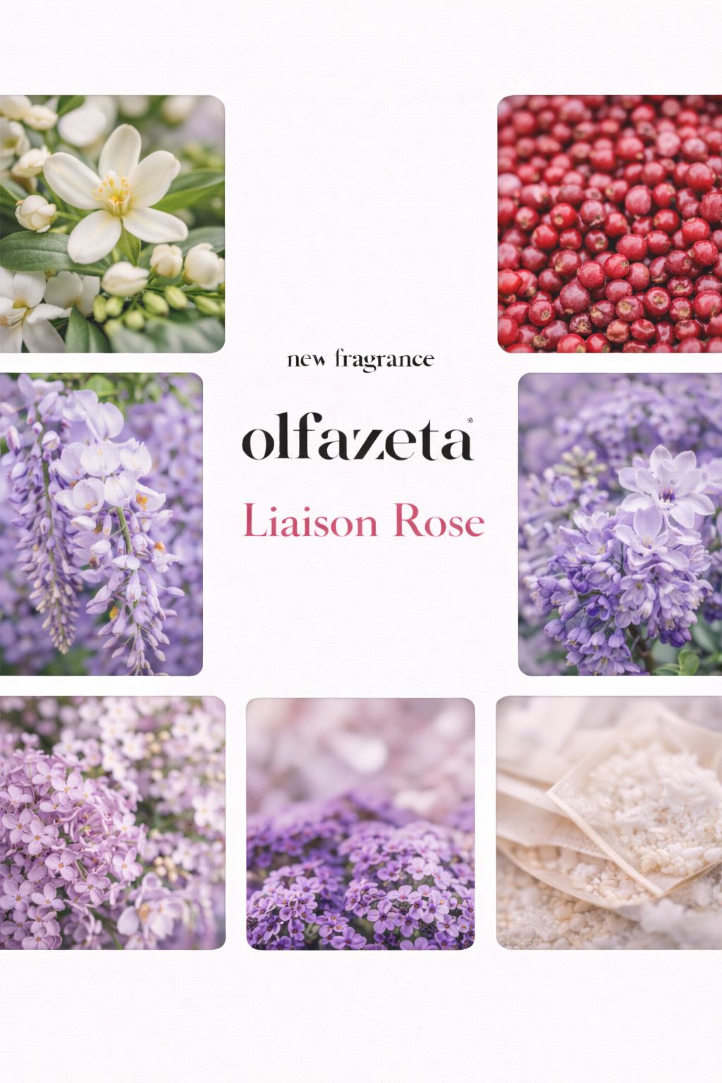 #043 (243)Liaison Rose -Damenparfüm Neue Nr.154