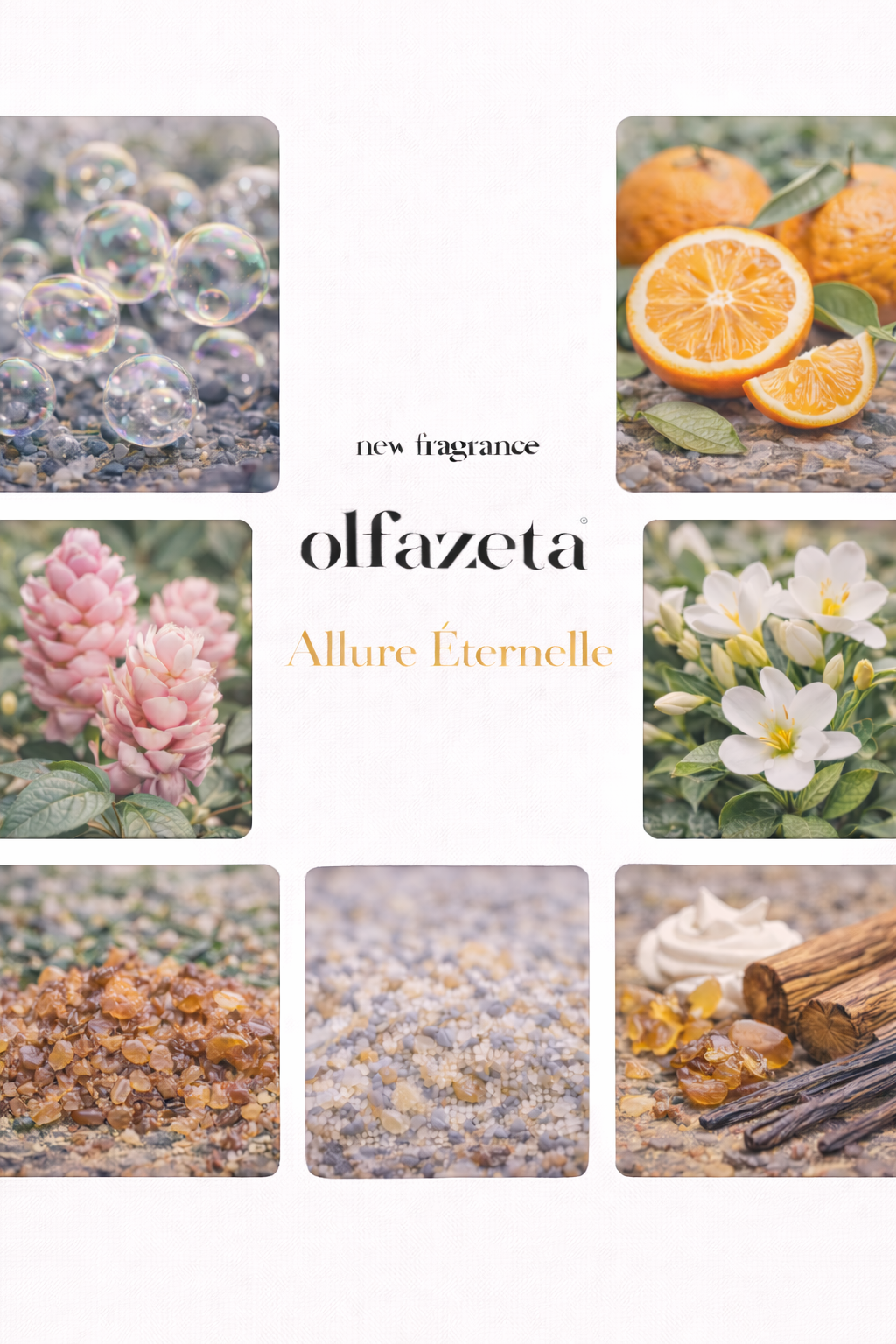 #081 Allure Éternelle -Damenparfüm